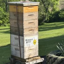 Benefits of Consuming Local Honey