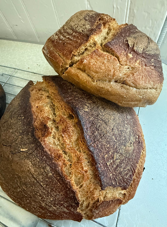 Rye Bread Boule