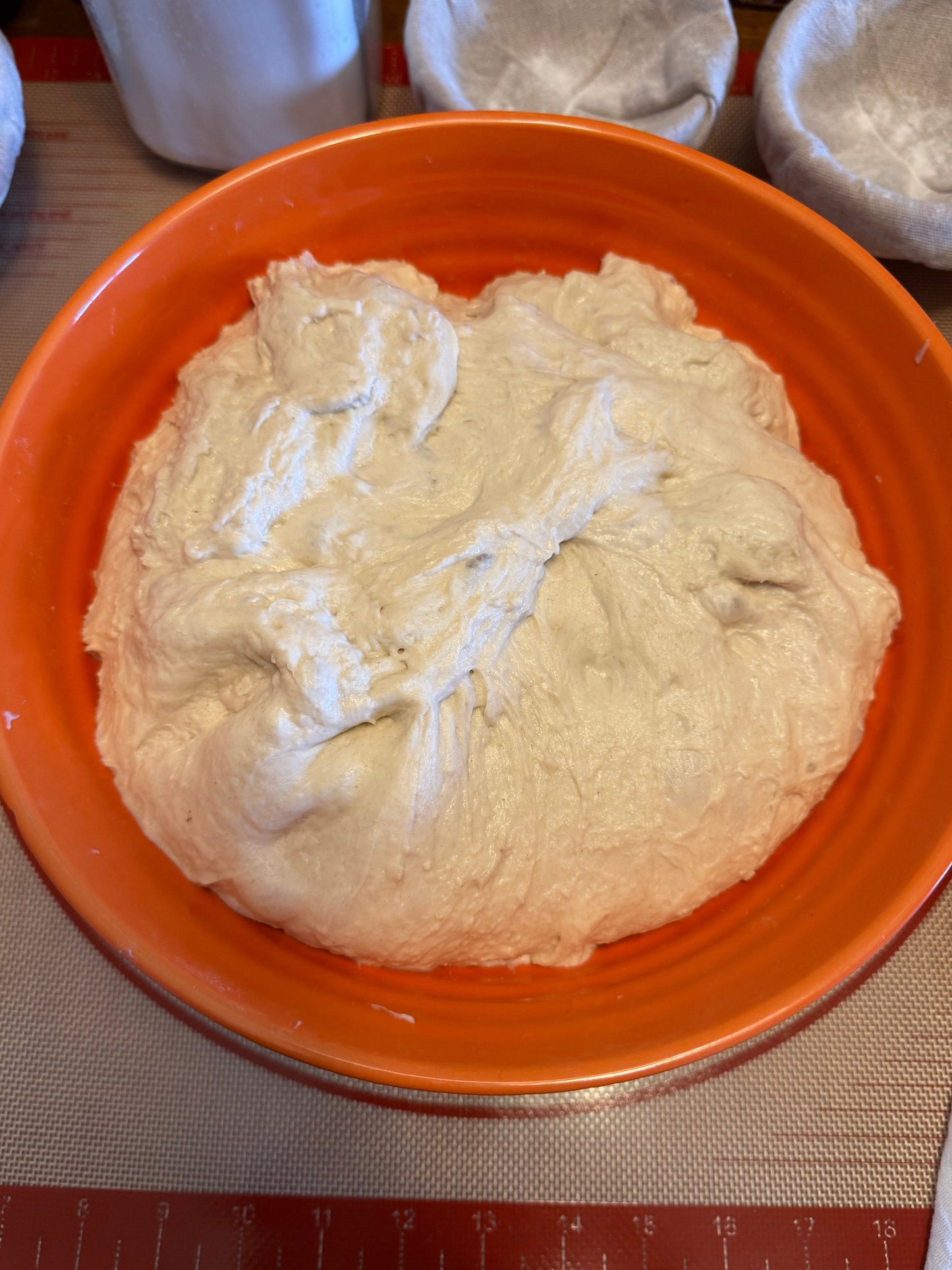 Active Sourdough Starter with Directions