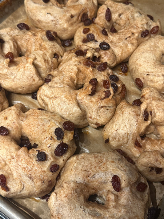Sourdough Cinnamon Raisin Bagels